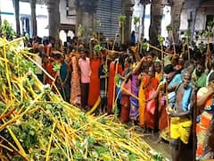 சித்திரை திருவிழா; வைத்தீஸ்வரன் கோயிலில் நடந்த நகரத்தார் திருவிழா!