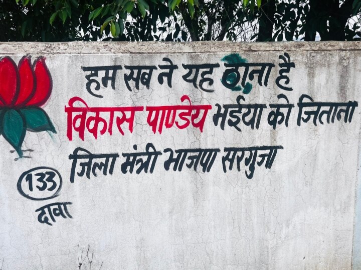 Chhattisgarh  Assembly Elections 2023: चुनाव से पहले छत्तीसगढ़ में मची होड़, अंबिकापुर में सामने आए बीजेपी के कई दावेदार, ऐसे कर रहे प्रचार