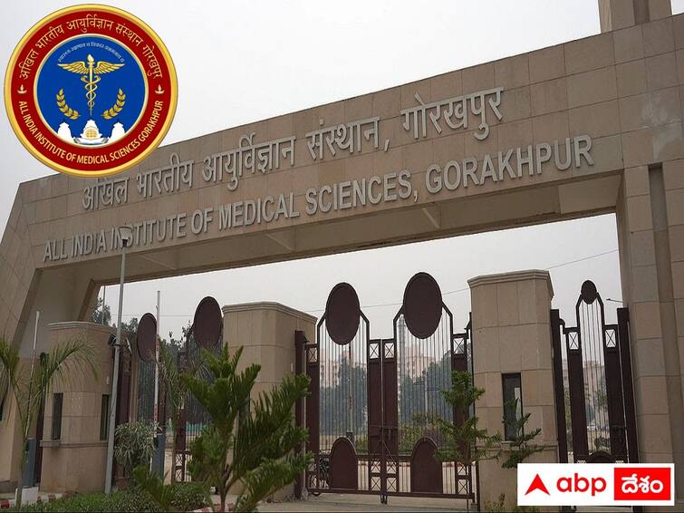 AIIMS has released notification for the recruitment of various Faculty Posts AIIMS: గోరఖ్‌పూర్‌ ఎయిమ్స్‌లో 121 ఫ్యాకల్టీ పోస్టులు- అర్హతలివే!