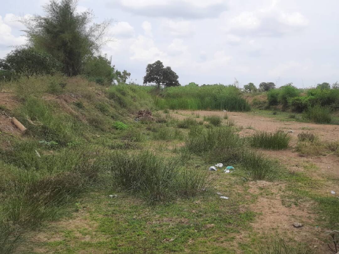 Thanjavur Farmers Demanded Dredging Iter Ramanathapuram Panchayat tamilnadu Thanjavur: 'ஆயிரக்கணக்கான ஏக்கர் சாகுபடி.. இப்பவாது பேய்வாரி வாய்க்காலை தூர்வாருங்க..' தஞ்சை விவசாயிகள் கோரிக்கை..!