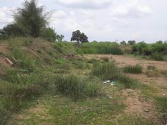 Thanjavur: 'ஆயிரக்கணக்கான ஏக்கர் சாகுபடி.. இப்பவாது பேய்வாரி வாய்க்காலை தூர்வாருங்க..' தஞ்சை விவசாயிகள் கோரிக்கை..!