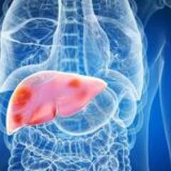 Health Tips : খাবারের তালিকায় যদি থাকে এগুলি, নষ্ট হতে পারে লিভার !