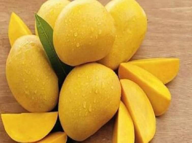 A nutritionist has said that eating a piece of mango after a daily meal will prevent indigestion and constipation. Mango Benefits: உணவுக்கு பிறகு மாம்பழம் சாப்பிடலாமா? அப்படி சாப்பிட்டால் என்ன பலன்?
