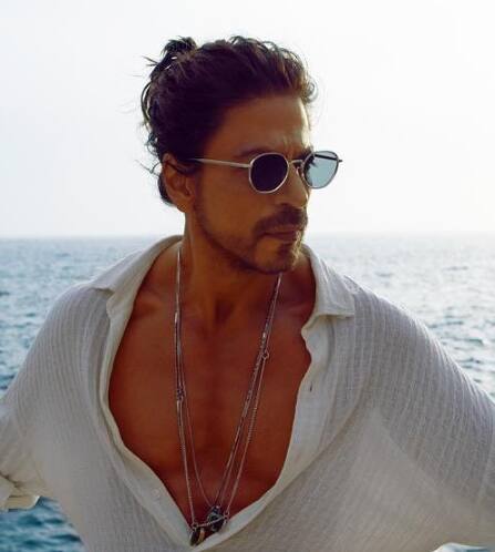 दिल्ली उच्च न्यायालयाच्या निर्णयामुळे शाहरुखला आता दिलासा मिळाला आहे.