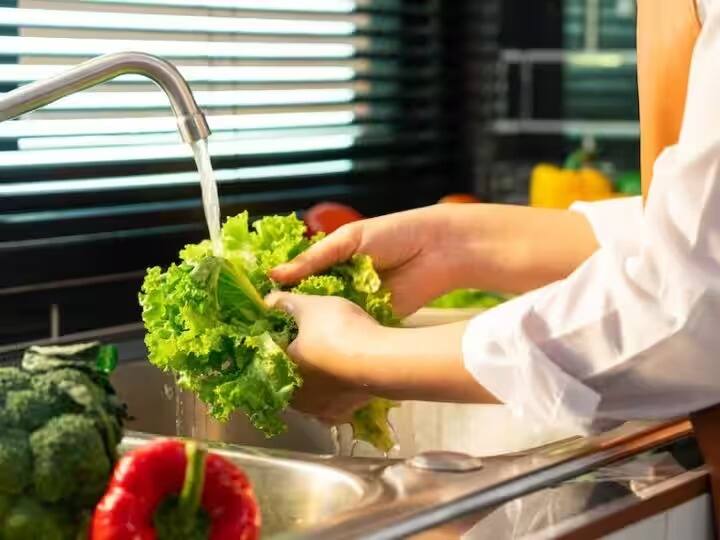 eating green vegetables after wash to right way in cooking room health tips Green Vegetables : हिरव्या पालेभाज्यांना शिजवण्यापूर्वी पहिलं 'हे' काम करा, अन्यथा आजाराला निमंत्रण द्याल