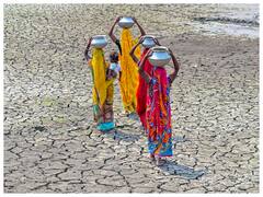 क्या वाकई डूब जाएगी पूरी धरती? तेजी से बढ़ रहा है समुद्रों का जलस्तर, हीटवेव भी ले रही जान- चौंकाने वाली रिपोर्ट
