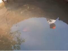 छत्तीसगढ़: खाद्य मंत्री अमरजीत भगत के इलाके में लोग दूषित पानी पीने को मजबूर, बिजली भी नहीं