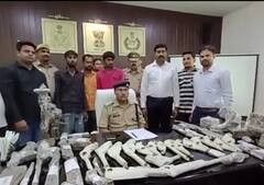 निकाय चुनाव से पहले फर्रुखाबाद पुलिस को मिली सफलता, दर्जनों अवैध असलहों के साथ तीन गिरफ्तार