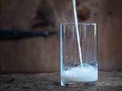 ਕੀ ਸਵੇਰੇ ਖਾਲੀ ਪੇਟ ਦੁੱਧ ਪੀਣਾ ਸਹੀ? ਕੀ ਹੈ ਦੁੱਧ ਪੀਣ ਦਾ ਸਹੀ ਸਮਾਂ, ਜਾਣੋ