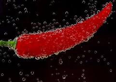 Agriculture News : मिरचीच्या दरात वाढ, अवकाळी पावसामुळं आवक घटली