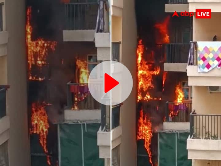Greater Noida Gaur City 14th Avenue Fire breaks out on many floors Watch Video Watch: ग्रेटर नोएडा के गौर सिटी में आग से हड़कंप, कई फ्लोर पर अफरातफरी का माहौल