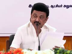 சில சமயங்களில் சில பிரச்சனைகளுக்கு நடவடிக்கை எடுக்காவிட்டால் அதுவே பின்னர் பெரிய பிரச்னையாக மாறிவிடுகிறது - முதல்வர் ஸ்டாலின்