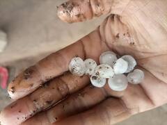 Gujarat Weather Update: રાજ્યના અનેક વિસ્તારોમાં ભરઉનાળે છવાયો અષાઢી માહોલ, વરસાદને લઈને હવામાન વિભાગની મોટી આગાહી