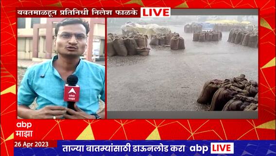 Yavatmal Unseasonal Rain : अवकाळीची अवकृपा, कृषी उत्पन्न बाजार समितीमध्ये ठेवलेला शेतमाल मातीमोल