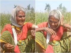खेत में काम कर रही बुजुर्ग महिला ने गाया गाना, अपनी आवाज के जादू से जीते लाखों दिल