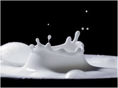 Milk Adulteration: పాలల్లో నీళ్లు కలిపితే అది కల్తీయే, కలిపారో లేదో ఈ చిన్న పరీక్ష ద్వారా తెలుసుకోండి