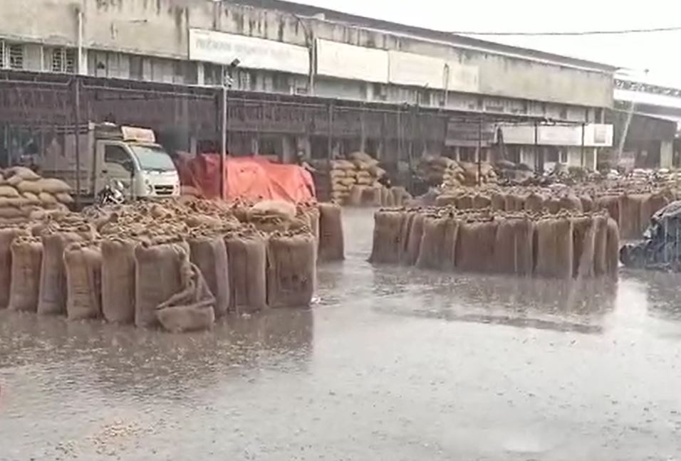 Nagpur Rain : विदर्भात अवकाळीमुळं पिकांना मोठा फटका, तर गारपीटीमुळं पोल्ट्रीमधील हजारो कोंबड्यांचा मृत्यू, वाचा कोणत्या जिल्ह्यात काय स्थिती? 