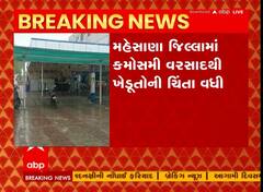 Mehsana Rain : મહેસાણા જિલ્લામાં ખાબક્યો કમોસમી વરસાદ, જુઓ અહેવાલ