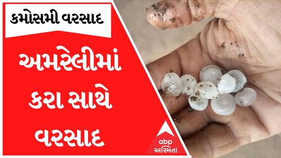 Amreli Rain : અમરેલી જિલ્લામાં ખાબક્યો કમોસમી વરસાદ, ક્યાં પડ્યા કરા?