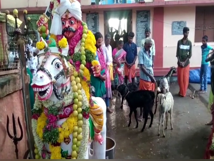 பழனி அருகே நடந்த கோவில் திருவிழாவில் 300 ஆடுகள் வெட்டி பக்தர்களுக்கு அன்னதானம்