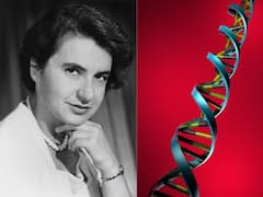 Rosalind Franklin Was An Equal Contributor, Not A Victim, In Discovery Of DNA Structure, Say Scientists