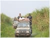 Elephant, Jeep Safari At Assam's Kaziranga Closed To Tourists In May: Details