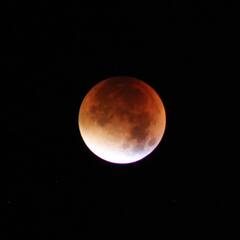 Lunar Eclipse 2023 : শীঘ্রই ঘটবে বছরের প্রথম চন্দ্রগ্রহণ, সতর্ক থাকতে হবে এই ৪ রাশির জাতকদের