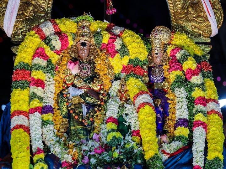 Chithirai Festival Meenakshiyamman in Kamathenu vehicle and Sundareswarar in Kailasa Parvatha vehicle Chithirai Festival: களைகட்டும் சித்திரை திருவிழா; வீதி உலா வந்த மீனாட்சி சுந்தரரேஸ்வரர் - பக்தர்கள் பரவசம்..!