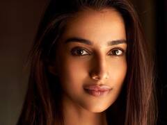 మీనాక్షి చౌదరి - నువ్వుండగా చందమామ ఎందుకు?