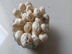 Makhana Benefits: આ કારણે ફિટ એન્ડ ફાઇન રાખે છે મખાના, સેવનથી થશે આ 8 ગજબ ફાયદા