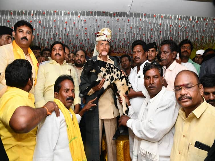 Sattenapalli TDP BC Meeting Chandrababu criticizes CM Jagan ysrcp govt  Luring natural resources Chandrababu : సహజ వనరుల్ని దోచేస్తున్న జగన్, తుపాకీతో బెదిరించి ఆస్తులు కొట్టేస్తున్నారు- చంద్రబాబు