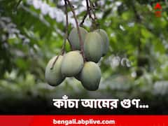 কাঁচা আমের স্বাদে লুকিয়ে বহু গুণ, স্বাস্থ্য ফেরাবে কীভাবে?