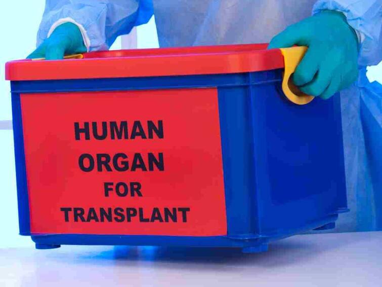 Central Govt Grants 42 Days Of Special Casual Leave To Its Employees For Organ Donation Special Casual Leave:ఆర్గాన్ డోనర్స్‌కి కేంద్రం స్పెషల్ గిఫ్ట్, 42 రోజుల పాటు అధికారిక సెలవులు - షరతులు వర్తిస్తాయ్