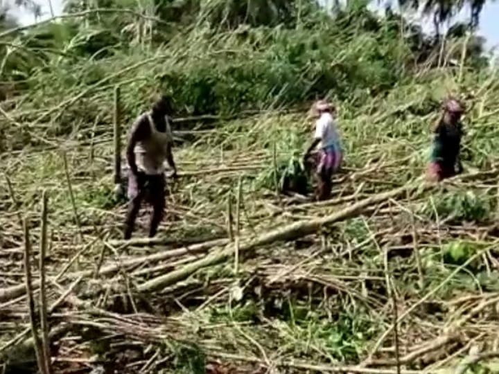 கரூர் சுற்றுவட்டார பகுதிகளில் காற்றுடன் கூடிய கனமழை - வெப்பம் தணிந்து குளிர்ச்சியான சூழல்