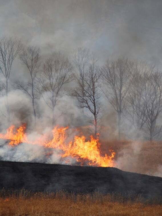 गर्मियों में फसल में आग लगी तो किसान ऐसे करें बचाव
