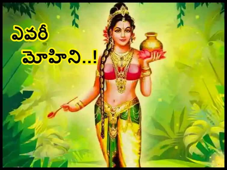 Mohini Ekadashi 2023: importance and significance of Mohini Ekadashi, know in telugu Mohini Ekadashi 2023: మోహిని ఏకాదశి విశిష్ఠత ఏంటి, ఈ రోజు ఏ నియమాలు పాటించాలి!