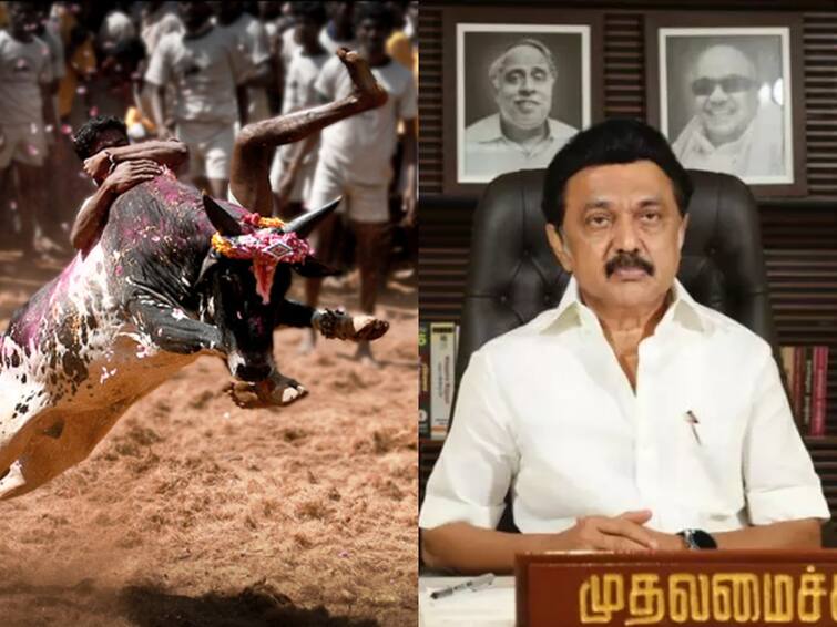 Cm relief fund tamilnadu jallikkattu youngster death pudukkottai Cm Relief Fund : புதுக்கோட்டையில் ஜல்லிக்காட்டு காளை முட்டி இளைஞர் பலி... முதலமைச்சர் ரூ.3 லட்சம் நிவாரணம் அறிவிப்பு...