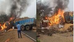 Road Accident : ਜਮੁਈ 'ਚ ਭਿਆਨਕ ਸੜਕ ਹਾਦਸਾ, ਆਪਸ 'ਚ ਟਕਰਾਏ ਦੋ ਟਰੱਕ, ਪੁੱਤ ਦੇ ਸਾਹਮਣੇ ਜ਼ਿੰਦਾ ਸੜਿਆ ਪਿਓ