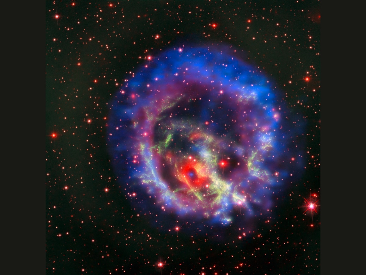We Are All Made Of Stardust': How Stellar Elements Expand Into The Cosmos