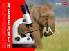 Elephant Habitats Across Asia Have Declined By More Than 64% Since 1700: Study
