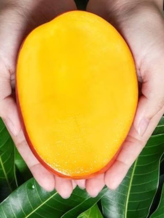 आम खाइए, मगर इसके नुकसान भी जान लीजिए