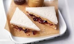 Peanut Butter and Jam Sandwich Recipe: નાસ્તામાં ટ્રાય કરો પીનટ બટર અને જામ સેન્ડવિચ, નોંધી લો રેસિપી