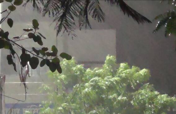 Rain : राज्यात अवकाळी पावसाचा कहर, पिकांचं नुकसान