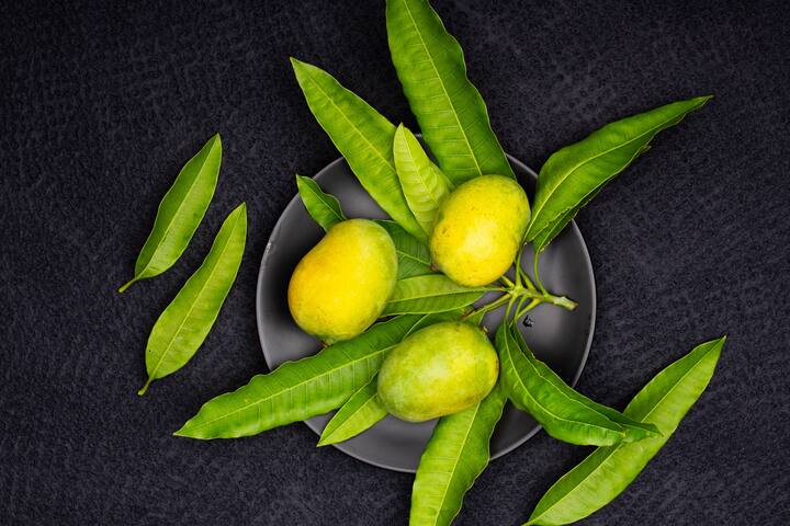 Benefits of Raw Mango:পাকা আমের আগেই রসনাতৃপ্তি করতে শুরু করে কাঁচা আম। রয়েছে একাধিক উপকারও।