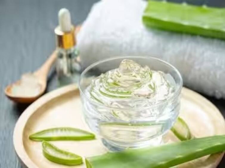 summer skin care tips skin-benefits-of-aloe-vera-for-summer season Aloe Vera: গরমের মরসুমে ত্বকের কী কী সমস্যা দূর করে অ্যালোভেরা? কীভাবে কাজে লাগাবেন?