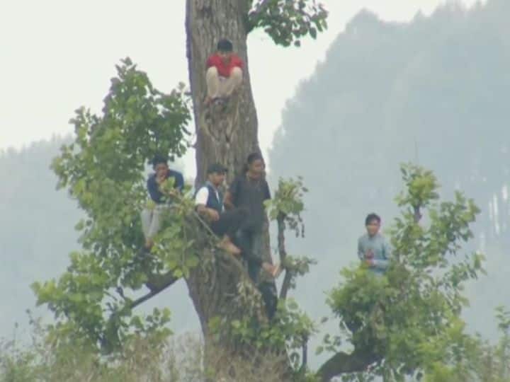 Viral News Nepal fans watching Qatar vs Nepal watch from top of trees see pic Nepal Fans Viral: नेपाल में फैंस पर चढ़ा क्रिकेट का खुमार, फैंस ने पेड़ पर चढ़कर देखा कतर के खिलाफ मैच, तस्वीर वायरल
