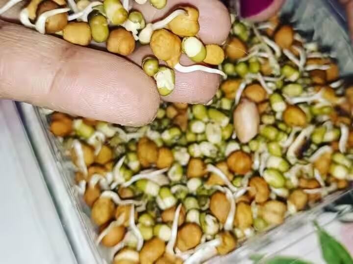 અંકુરિત અનાજ ખાવાથી સ્વાસ્થ્યને ઘણા ફાયદા થાય છે. ફણગાવેલા અનાજમાં પુષ્કળ પ્રમાણમાં પ્રોટીન હોય છે. તેમજ વિટામિન્સ. ખનિજો ફોસ્ફરસ. ફાઈબરનો પણ સમાવેશ થાય છે. આવો જાણીએ સેવનના ફાયદા