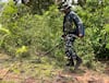 Chhattisgarh Naxal Attack: 5 साल में सिर्फ आंकड़े बदले! नक्सली घटना रोकने में आखिर कितनी कामयाब रही सरकार?