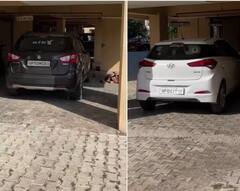 ਸੋਸਾਇਟੀ 'ਚ ਪਾਰਕਿੰਗ ਦਾ ਅਨੋਖਾ ਜੁਗਾੜ, ਹਵਾ 'ਚ ਲਟਕਾ ਦਿੱਤੀ ਕਾਰ ਦੀ ਨੰਬਰ ਲਪੇਟ, ਵੇਖੋ ਵੀਡੀਓ