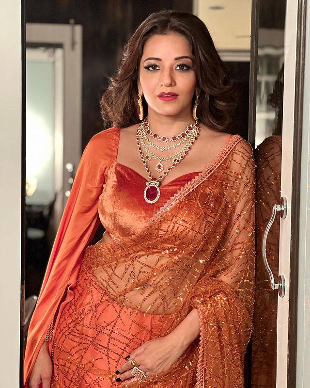 તે બિગ બોસ 2016માં સ્પર્ધક તરીકે જોવા મળી હતી. તેણે કેટલાક ટેલિવિઝન શો પણ કર્યા છે. તેણે 2017માં વિક્રાંત સિંહ રાજપૂત સાથે લગ્ન કર્યા હતા
